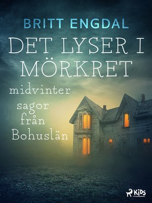cover image of Det lyser i mörkret